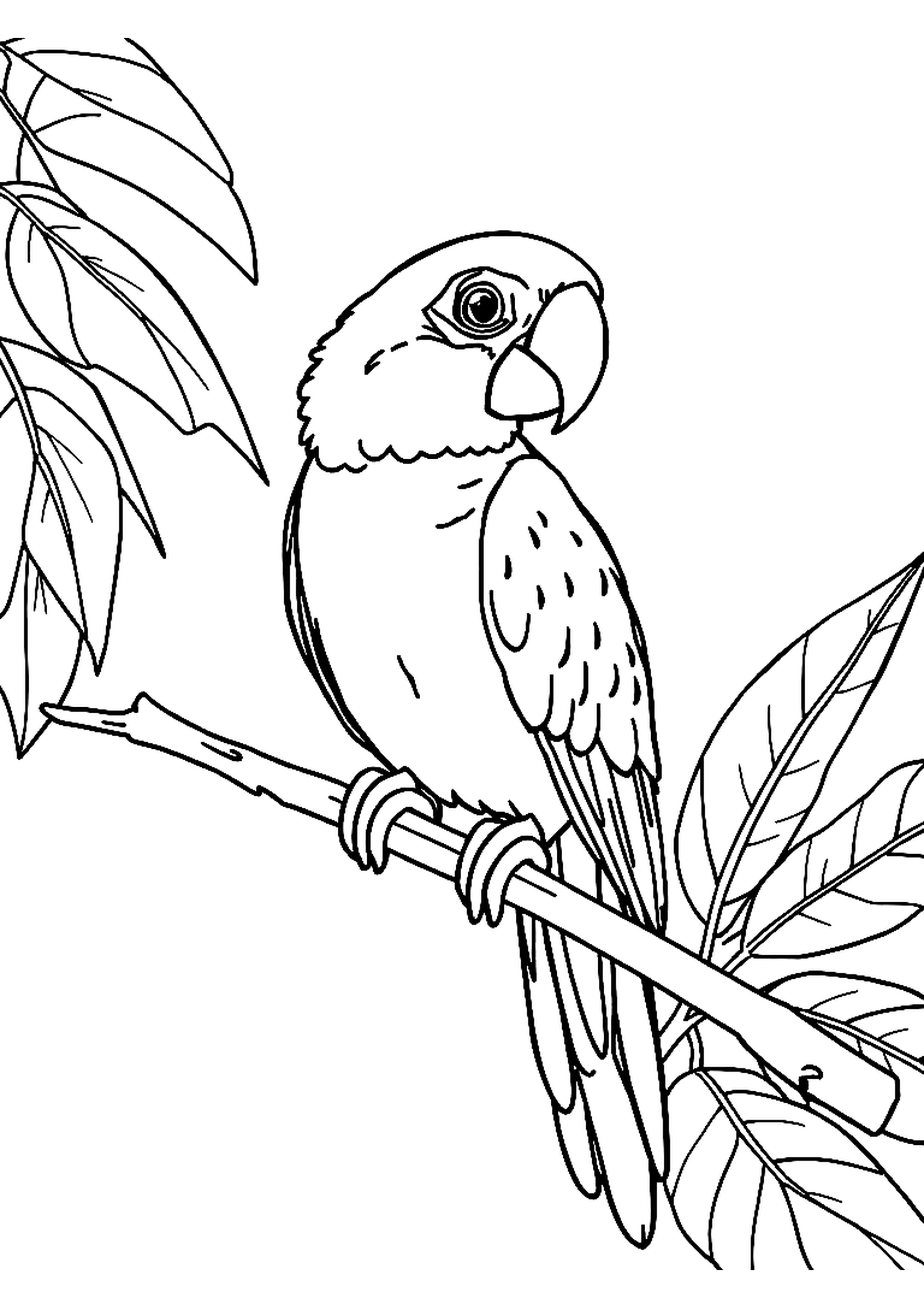 Parrot perched on a tropical branch with detailed feathers