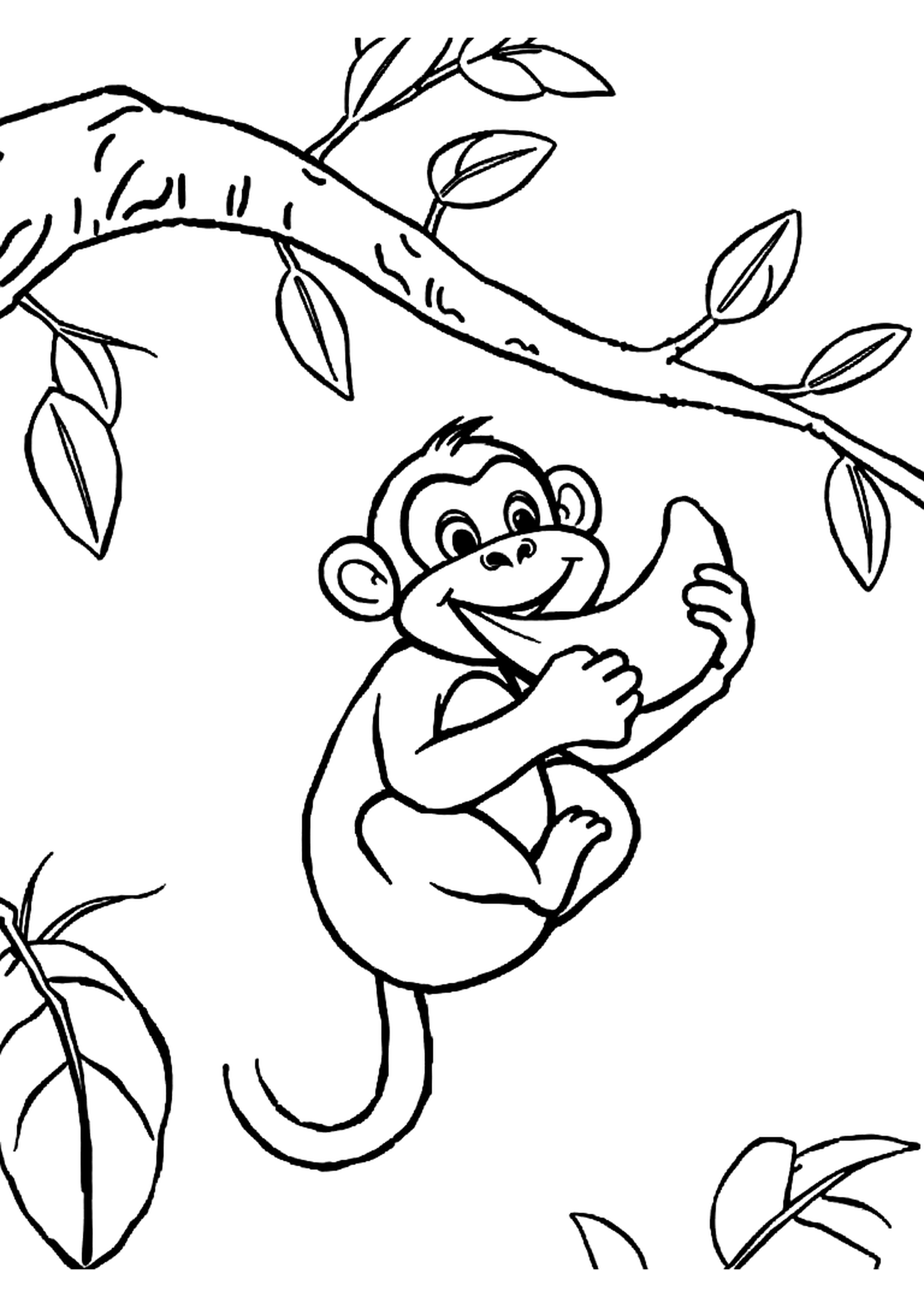 Monkey hanging from a vine in the jungle, grinning