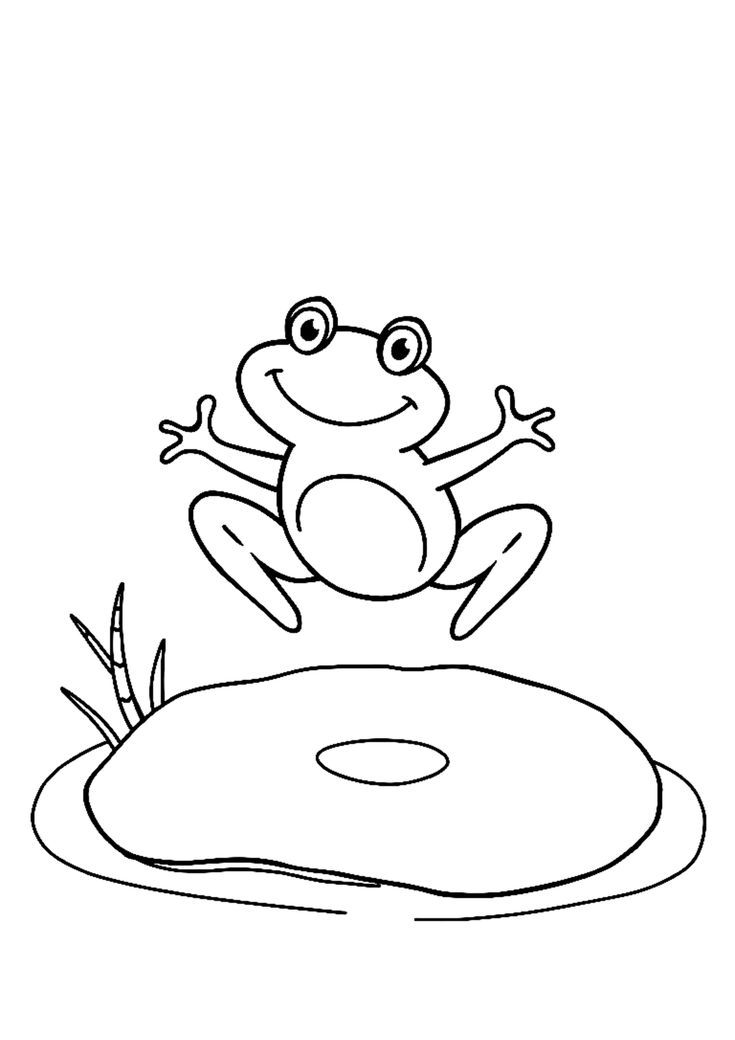 Frog jumping on a lily pad in a pond