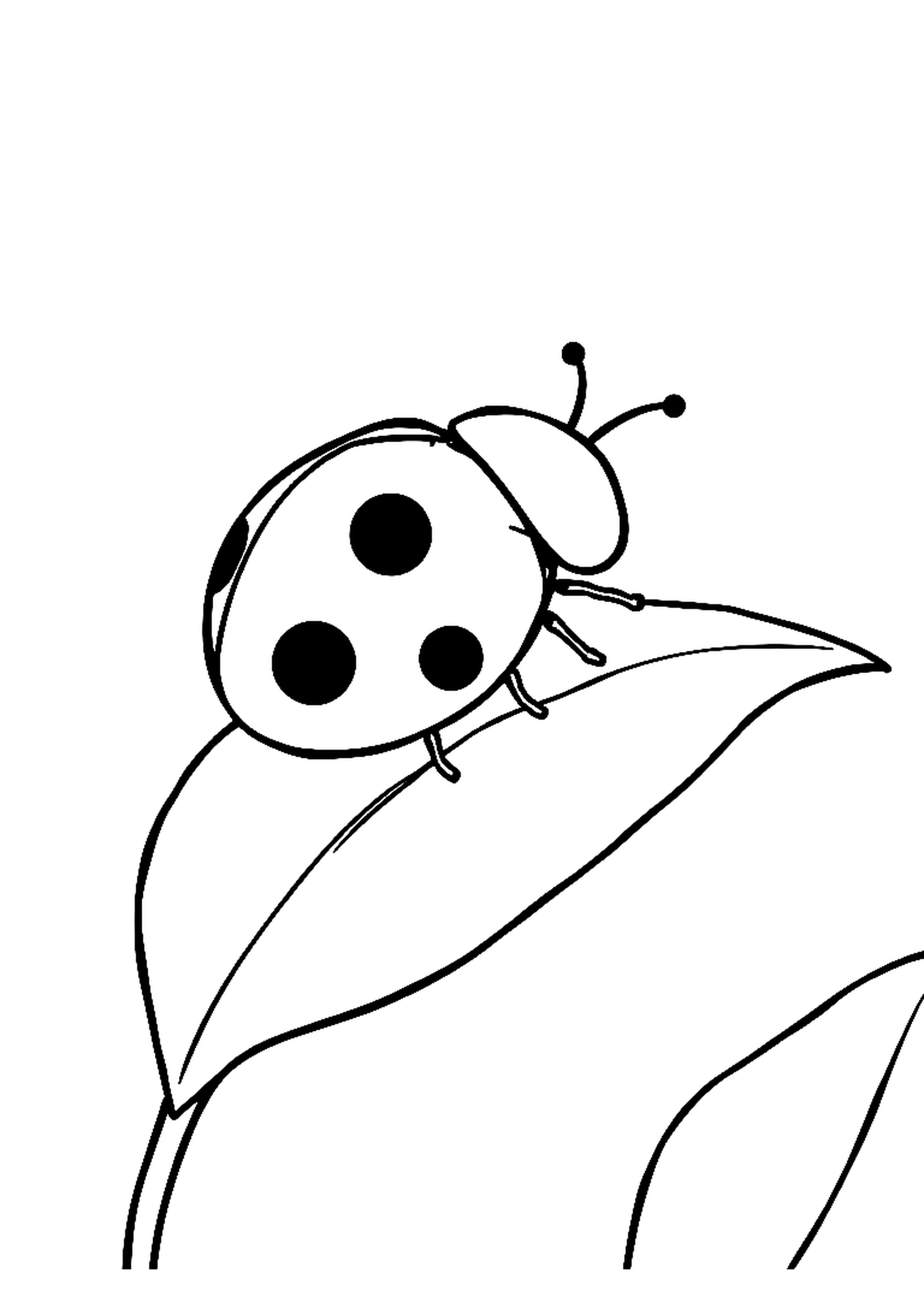 Ladybug with spots sitting on a green leaf