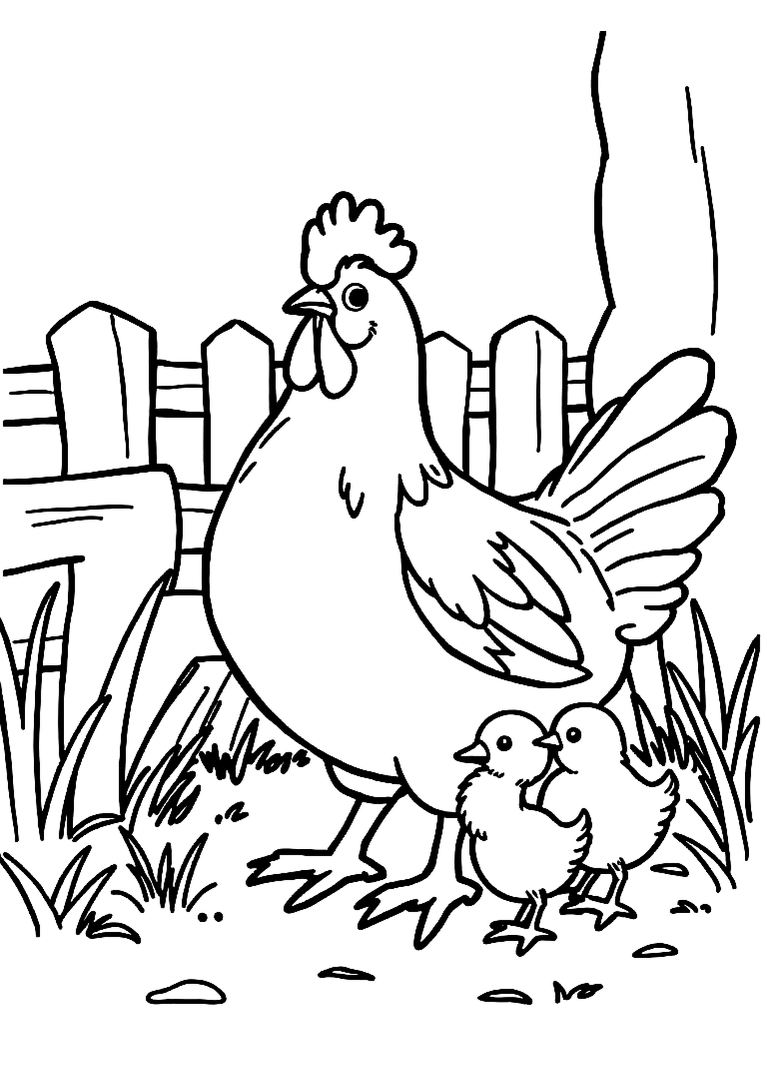 Mother hen with baby chicks around her on a farm
