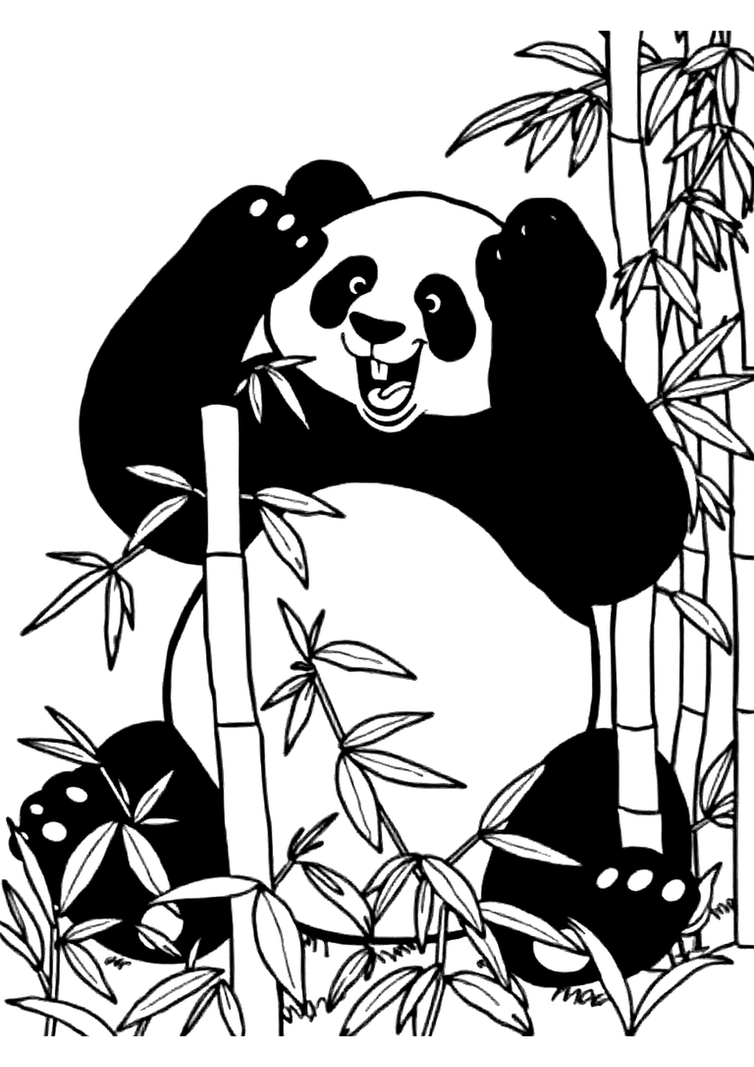 Panda sitting and munching on bamboo stalks