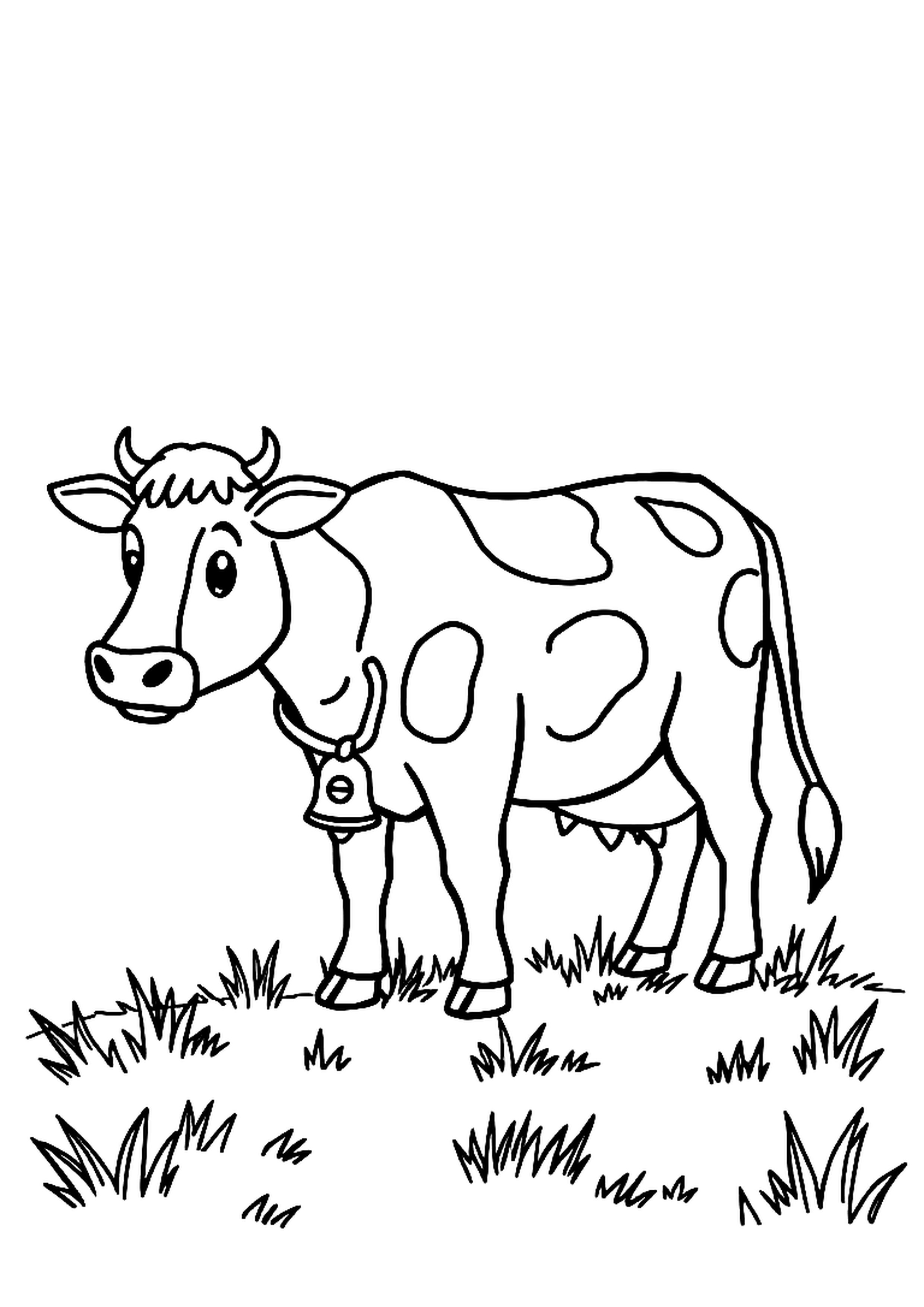 Spotted cow in a farm pasture with a friendly face