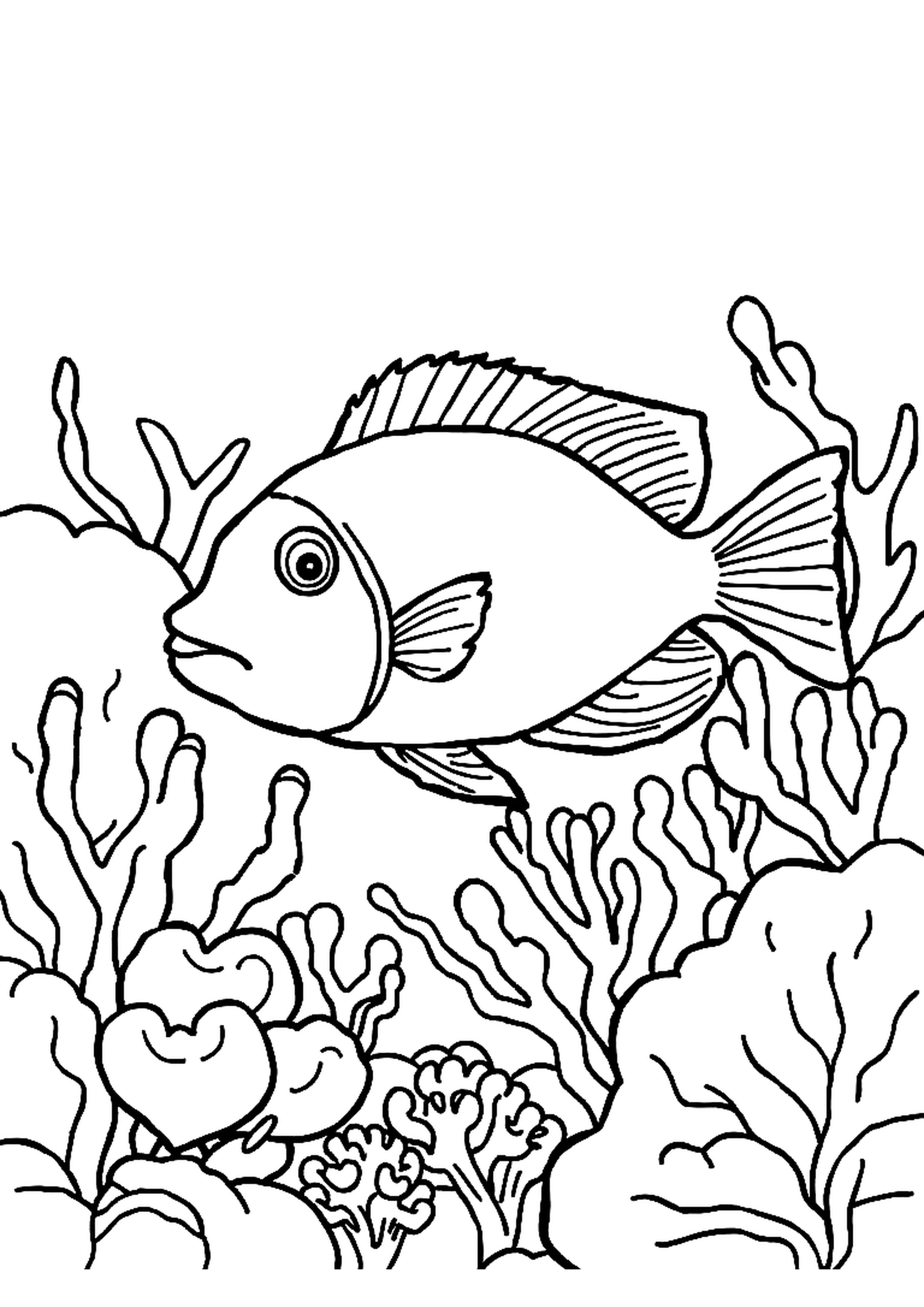 Fish swimming underwater with bubbles and seaweed