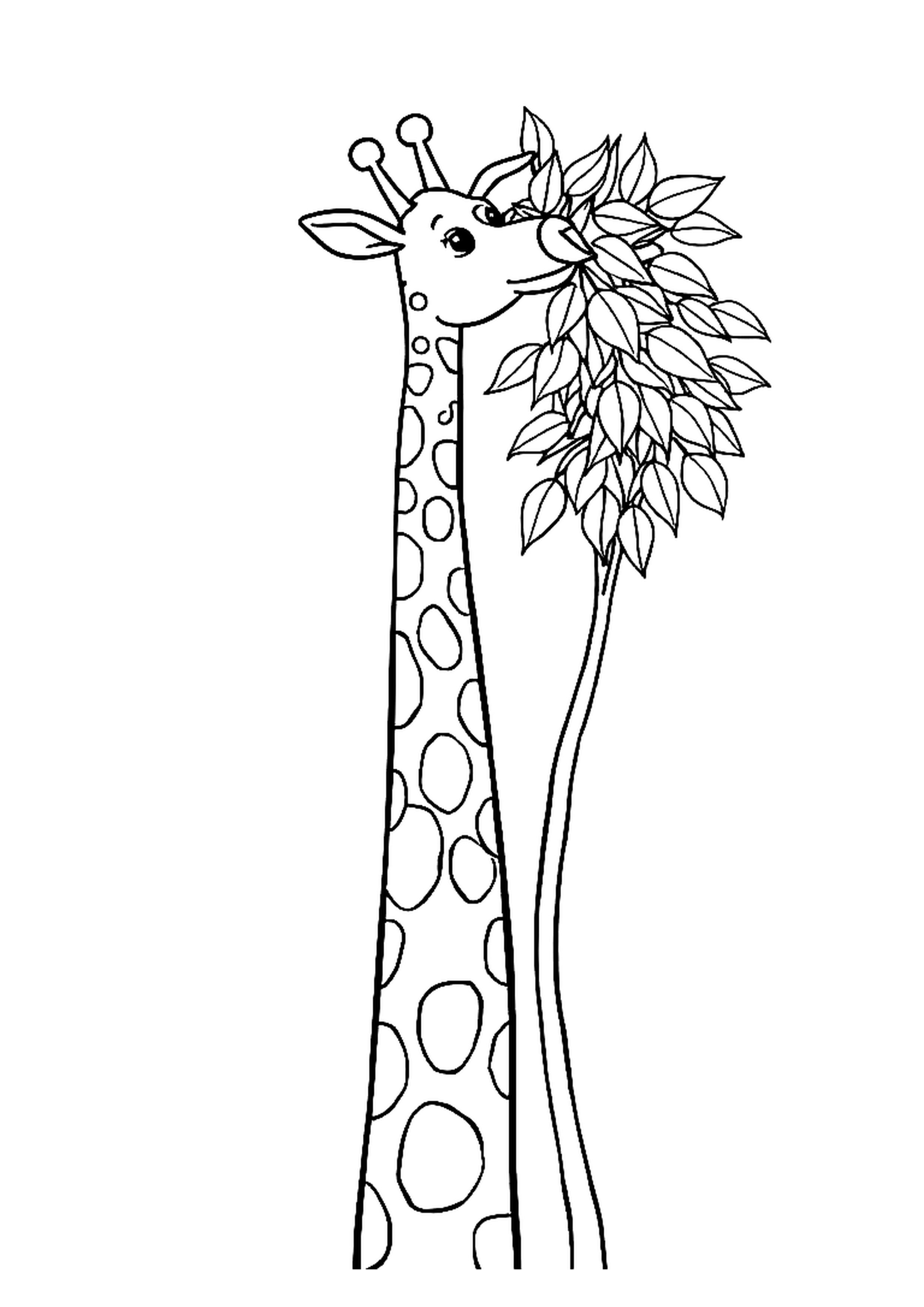Tall giraffe reaching up to eat leaves from a tree