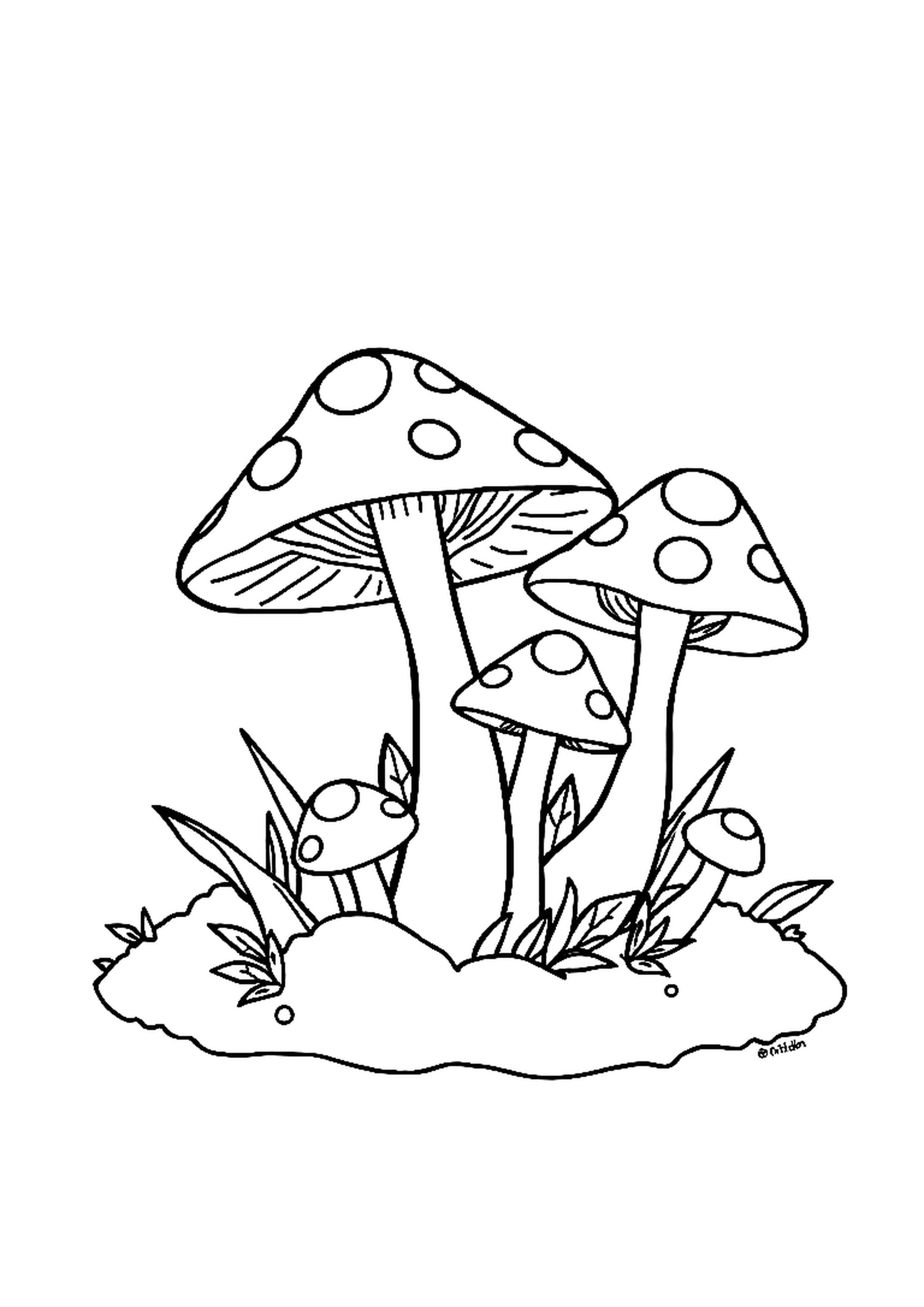 Cute mushrooms growing on the forest floor among fallen leaves