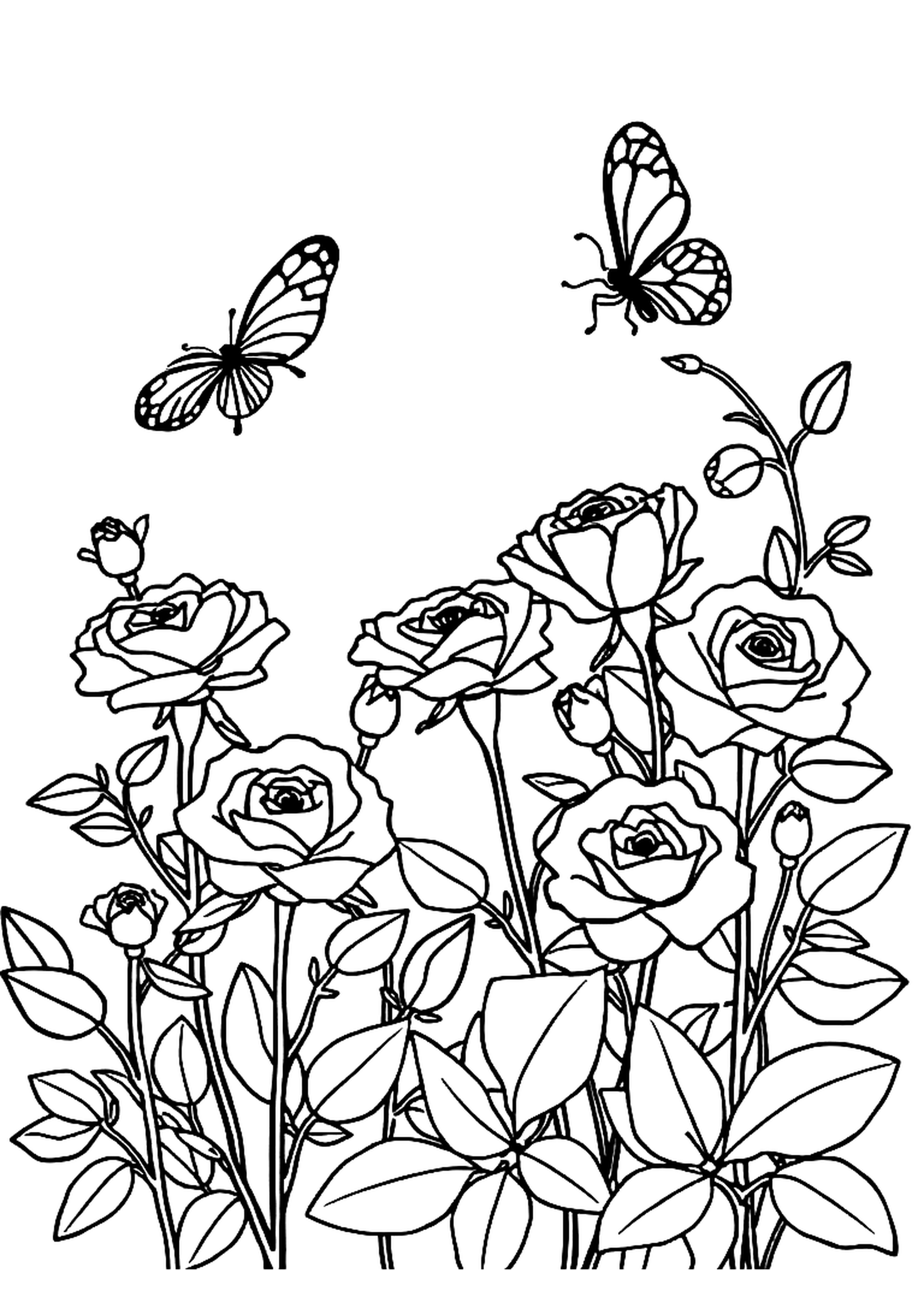 Garden full of blooming roses with petals and leaves