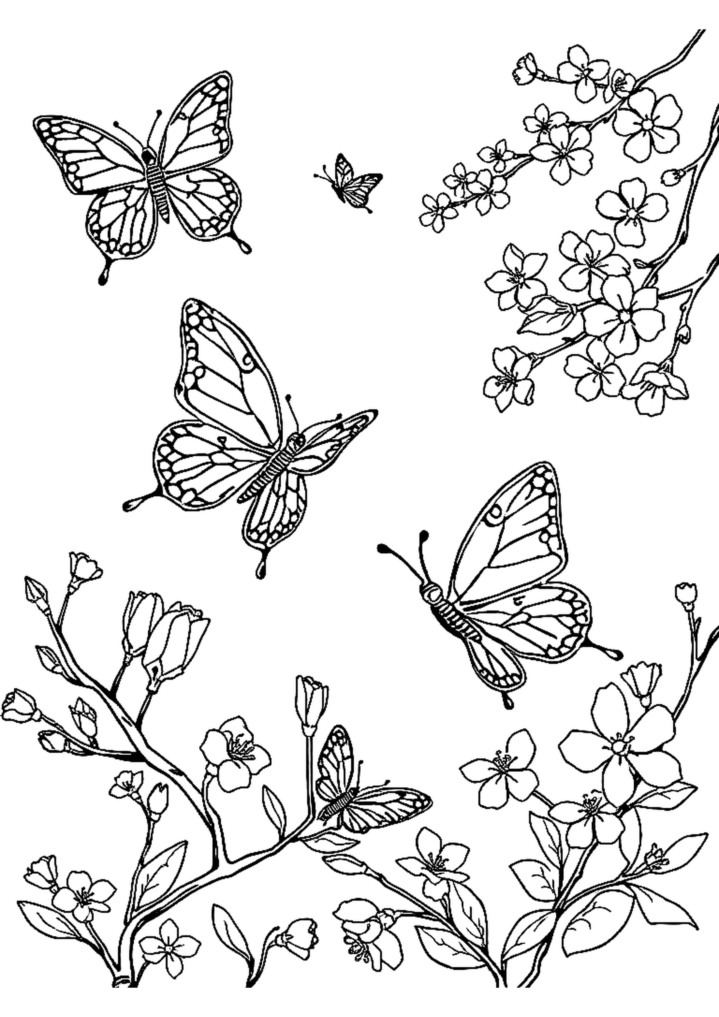 Butterflies fluttering among spring wildflowers in a meadow